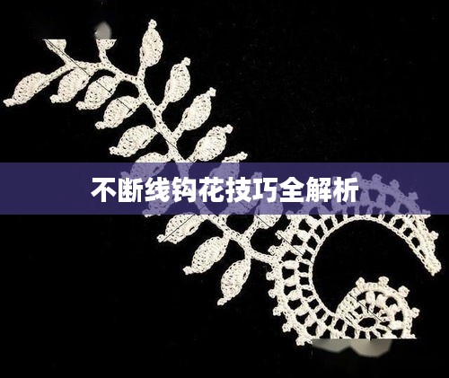 不斷線(xiàn)鉤花技巧全解析